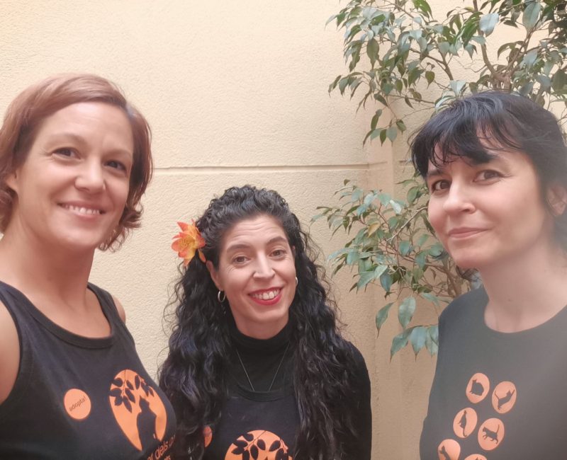 Observatori Feli i Projectes